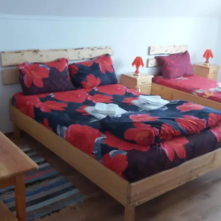 Pensiunea Schilacy Guest house