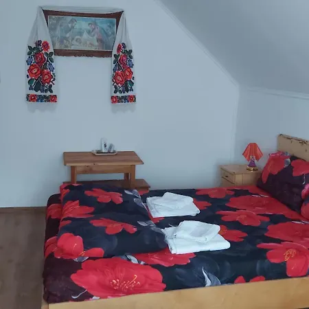 Pensiunea Schilacy Guest house *