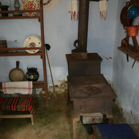 Guest house Pensiunea Schilacy *